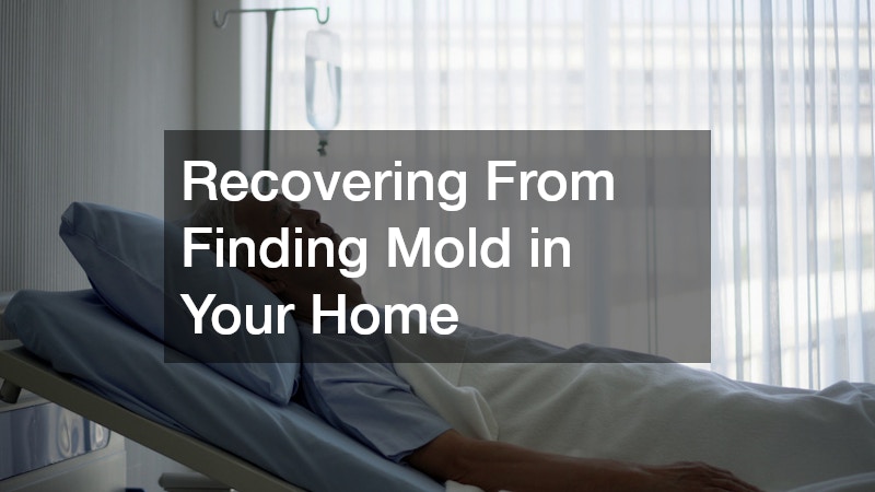 Recovering From Finding Mold in Your Home